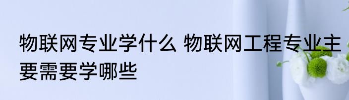 物联网专业学什么 物联网工程专业主要需要学哪些