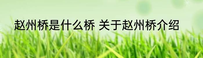赵州桥是什么桥 关于赵州桥介绍