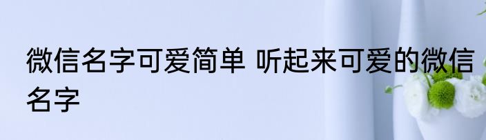 微信名字可爱简单 听起来可爱的微信名字