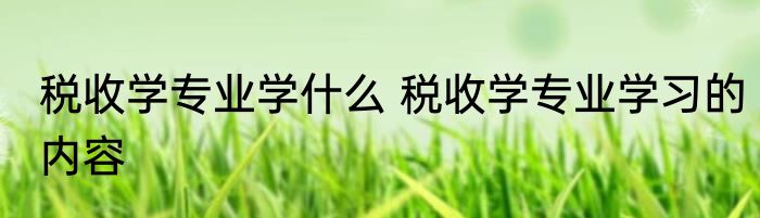 税收学专业学什么 税收学专业学习的内容