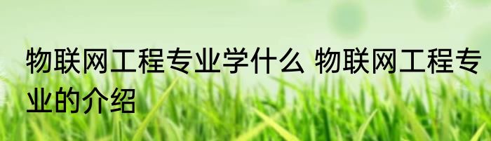 物联网工程专业学什么 物联网工程专业的介绍