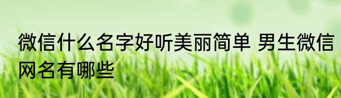 微信什么名字好听美丽简单 男生微信网名有哪些