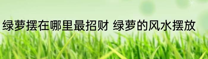 绿萝摆在哪里最招财 绿萝的风水摆放