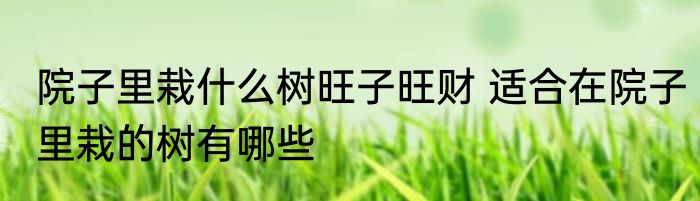 院子里栽什么树旺子旺财 适合在院子里栽的树有哪些