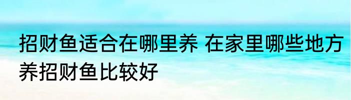 招财鱼适合在哪里养 在家里哪些地方养招财鱼比较好
