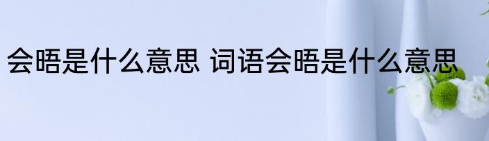 会晤是什么意思 词语会晤是什么意思