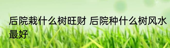 后院栽什么树旺财 后院种什么树风水最好