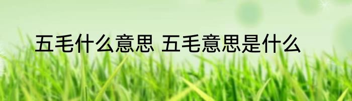 五毛什么意思 五毛意思是什么