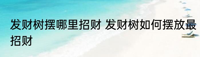 发财树摆哪里招财 发财树如何摆放最招财