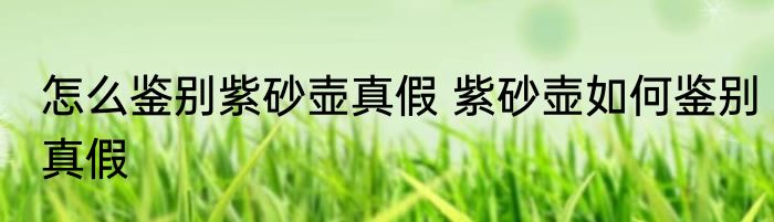 怎么鉴别紫砂壶真假 紫砂壶如何鉴别真假