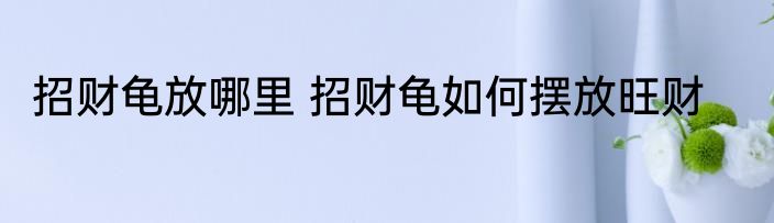 招财龟放哪里 招财龟如何摆放旺财