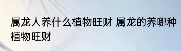 属龙人养什么植物旺财 属龙的养哪种植物旺财