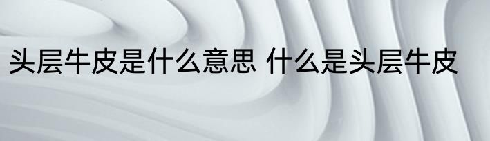 头层牛皮是什么意思 什么是头层牛皮