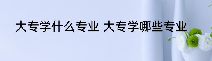 大专学什么专业 大专学哪些专业