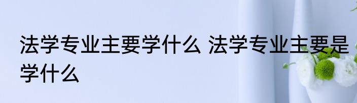 法学专业主要学什么 法学专业主要是学什么