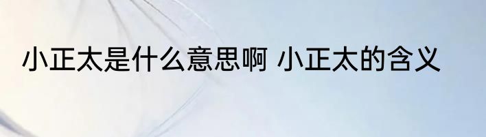 小正太是什么意思啊 小正太的含义