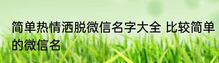 简单热情洒脱微信名字大全 比较简单的微信名