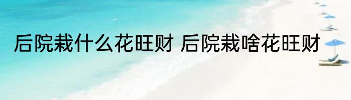 后院栽什么花旺财 后院栽啥花旺财