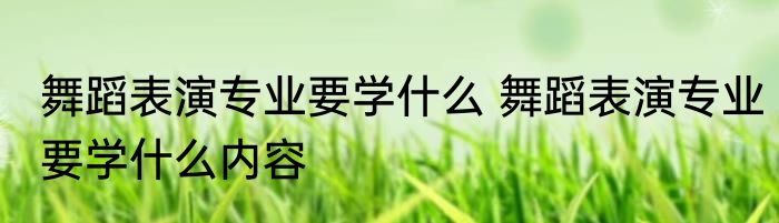 舞蹈表演专业要学什么 舞蹈表演专业要学什么内容
