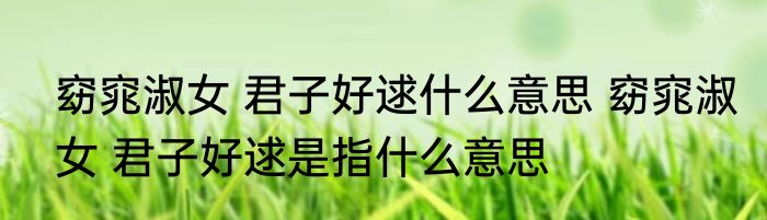 窈窕淑女 君子好逑什么意思 窈窕淑女 君子好逑是指什么意思