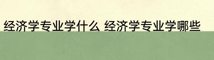 经济学专业学什么 经济学专业学哪些