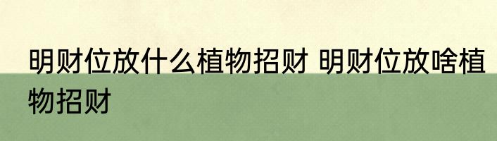 明财位放什么植物招财 明财位放啥植物招财