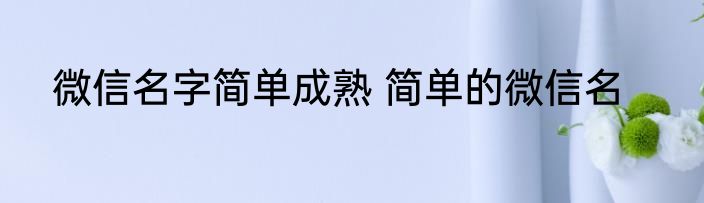 微信名字简单成熟 简单的微信名
