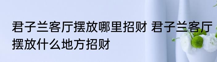 君子兰客厅摆放哪里招财 君子兰客厅摆放什么地方招财