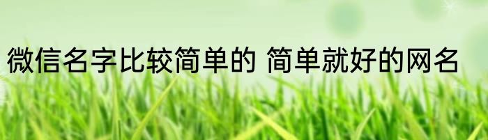 微信名字比较简单的 简单就好的网名
