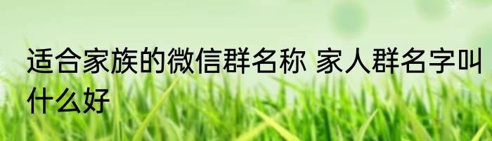 适合家族的微信群名称 家人群名字叫什么好