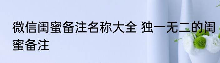 微信闺蜜备注名称大全 独一无二的闺蜜备注