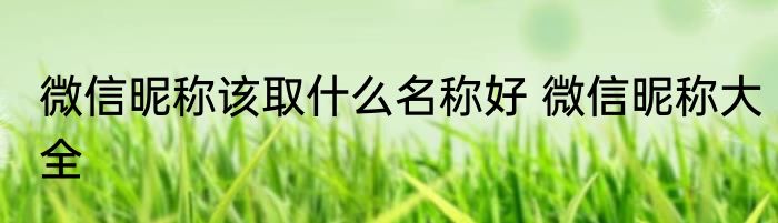 微信昵称该取什么名称好 微信昵称大全