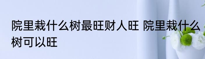院里栽什么树最旺财人旺 院里栽什么树可以旺