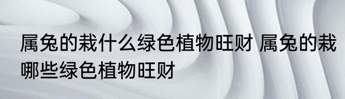 属兔的栽什么绿色植物旺财 属兔的栽哪些绿色植物旺财