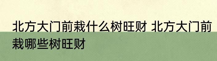 北方大门前栽什么树旺财 北方大门前栽哪些树旺财