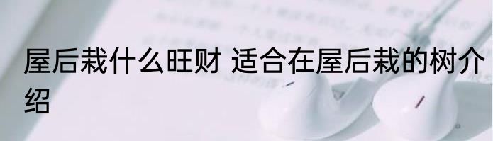 农村住宅东北方栽什么树旺财 农村住宅东北方栽哪些树旺财