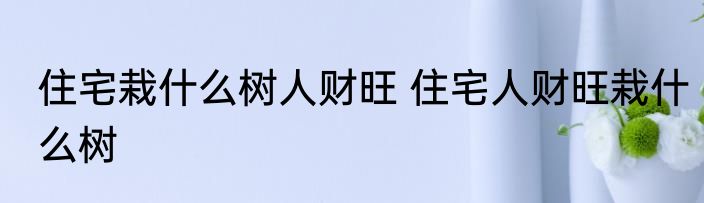 住宅栽什么树人财旺 住宅人财旺栽什么树