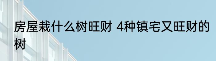 房屋栽什么树旺财 4种镇宅又旺财的树
