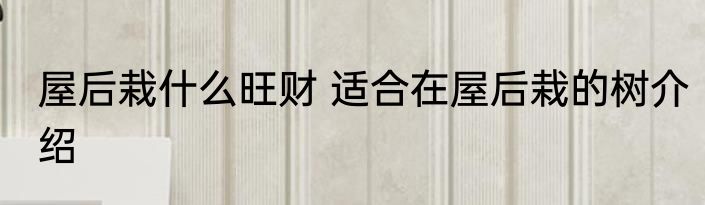 屋后栽什么旺财 适合在屋后栽的树介绍