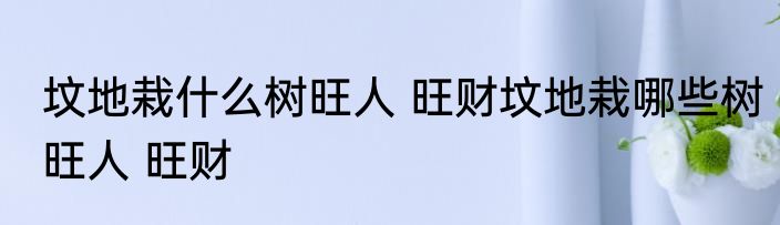 坟地栽什么树旺人 旺财坟地栽哪些树旺人 旺财