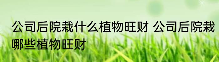 公司后院栽什么植物旺财 公司后院栽哪些植物旺财