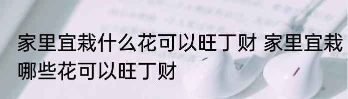 家里宜栽什么花可以旺丁财 家里宜栽哪些花可以旺丁财