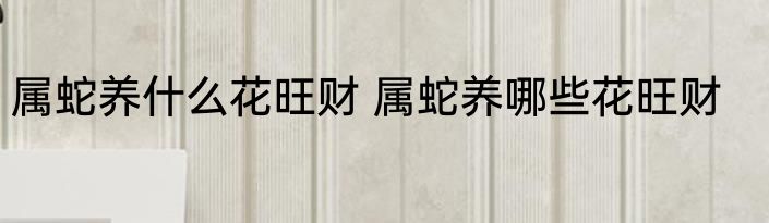 属蛇养什么花旺财 属蛇养哪些花旺财