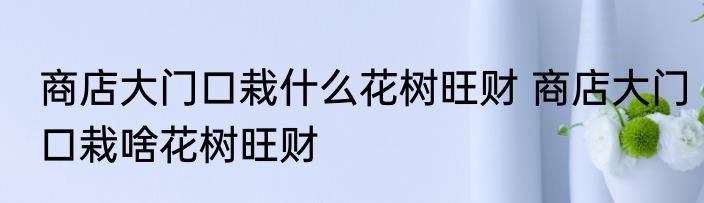 商店大门口栽什么花树旺财 商店大门口栽啥花树旺财
