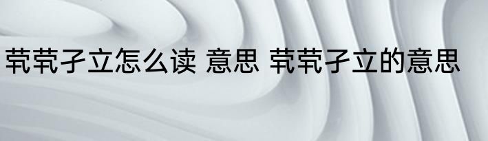 茕茕孑立怎么读 意思 茕茕孑立的意思