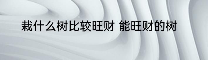 栽什么树比较旺财 能旺财的树