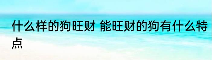 什么样的狗旺财 能旺财的狗有什么特点