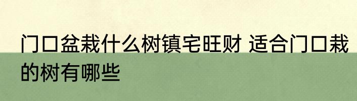 门口盆栽什么树镇宅旺财 适合门口栽的树有哪些
