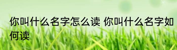 你叫什么名字怎么读 你叫什么名字如何读