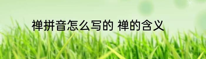 禅拼音怎么写的 禅的含义